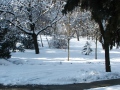 Képek - december
