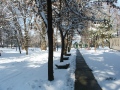 Képek - december
